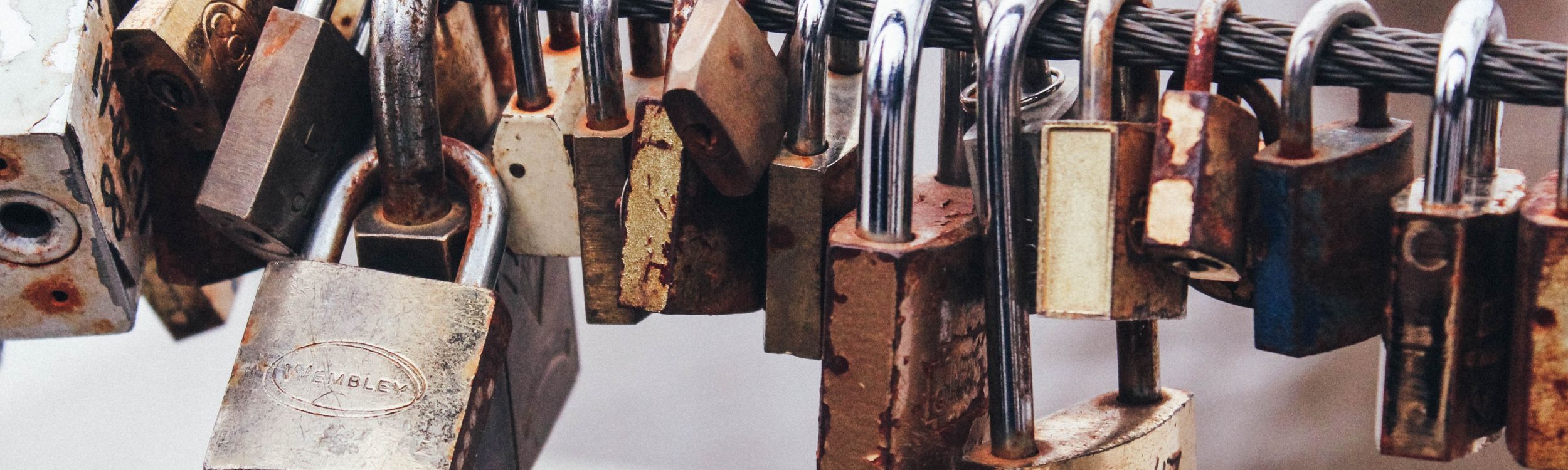 Foto: Unsplash | marcos mayer