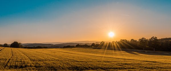 Foto: UNSPLASH | Federico Respini